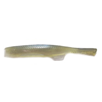 Witch Minnow