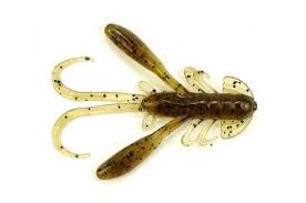 Rush Craw